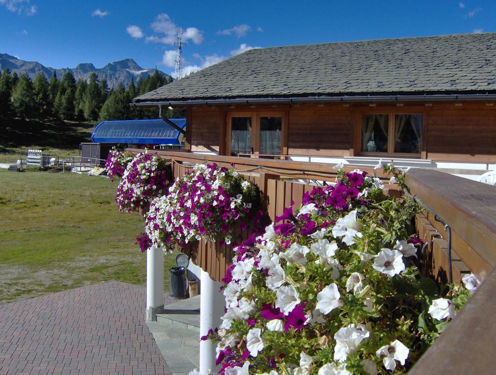 Albergo Bucaneve Campodolcino Buitenkant foto